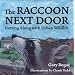 The Raccoon Next Door