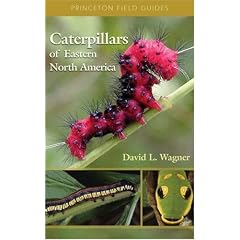 Caterpillars of Eastern North America: A Guide to Identification and Natural History (Princeton Field Guides)