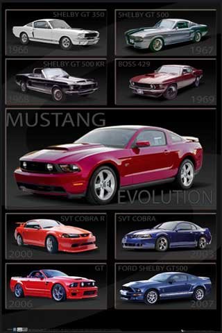 Produkt-Bild: Empire 335029 Autos - Ford Shelby Mustang Evolution - Poster - 61 x 91.5  cm