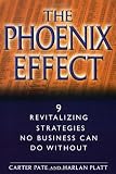 The Phoenix Effect: 9 Revitalizing Strategies No Business Can Do Without