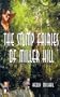 The Stump Fairies of Miller Hill