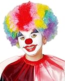 Kids Rainbow Clown Wig - Child Std.