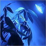 LEDwholesalers 1313BU 8 Watt PAR38 Blue LED High Power Grow Light Bulb