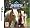 Pony Friends (Nintendo DS)