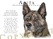 Akita BRINDLE 'Human Trainer' Mouse Pad Dog Mousepad