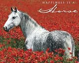 Happiness is a Horse 2013 Wall Calendar
