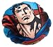 Superman Flying High Micro Bead Round Decorative Pillow