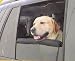 PET WINDOW BUMPER