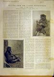 1901 Uganda Chimpanzeeankole Toro Masai Goat Animals