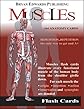 The Muscles (Flash Cards) (Flash Anatomy)