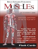 Muscles: Flash Cards