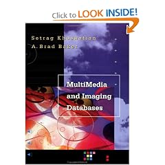 Multimedia and Imaging Databases