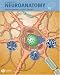 Book A Textbook of Neuroanatomy