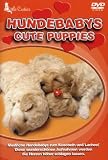 Eigenschaften Deutsche Austrophon GmbH  / Little Cuties - Hundebabys