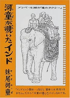 河童が覗いたインド (講談社文庫)