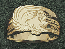 Columbia College Cougars 