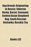 Dog Breeds Originating in Russia: Siberian Husky, Borzoi, Samoyed, Central Asian Shepherd Dog, South Russian Ovcharka, Russkiy Toy