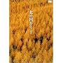 �k�̍����� Vol.1 [DVD]