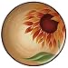 Pfaltzgraff Evening Sun 9-Inch Salad Plate