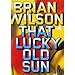 Brian Wilson - That Lucky Old Sun [DVD] [NTSC]