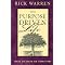 The Best Books on Christian Spiritual Inspiration