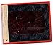 Oddity Medical Glass X Ray Appendix Gosta Fagerman