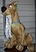Search : 4ft Gemmy Airblown Inflatable Birthday Scooby Doo