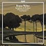 Walter: Symphony in D minor