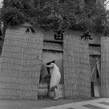 東京夢譚―labyrinthos 画像