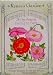 Shirley Poppy Falling in Love Seeds 1200 Seeds