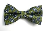 100% Silk Woven Lime Paisley Self-Tie Bow Tie