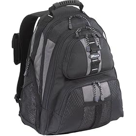 Targus TSB212 15.4 Sport Standard Backpack - Platinum/Black