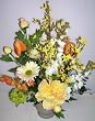 24" Tulip, Gerber Daisy & Forsythia Arrangement