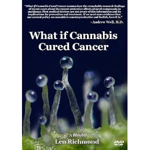 WHat if cannabis cured cancer?