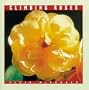 Climbing Roses (Rose Garden Series)