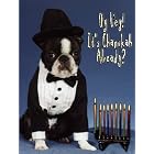 Pet Star Hanukkah Cards - Boston Terrier with Menorah by  Pet Star Photography