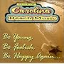 Be Young Be Foolish Be Happy Again