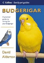 Budgerigar (Collins Famliy Pet Guides)