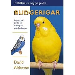 Budgerigar (Collins Famliy Pet Guides)