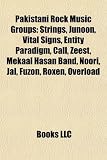 Pakistani Rock Music Groups: Strings, Junoon, Vital Signs, …