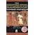 Hieroglyph Handbook: Teach Yourself Ancient Egyptian