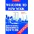 Welcome to New York : how to settle and survive in New York