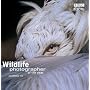 Wildlife Photographer of the Year: Portfolio 13 (Wildlife Photographer of the Year)