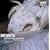 Wildlife Photographer of the Year: Portfolio 13