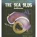 The Sea Slug: Nudibranchs (Gross, Miriam J. Weird Sea Creatures.)