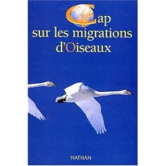 Cap sur les migrations d'oiseaux