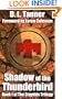 Shadow of the Thunderbird