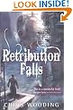 Retribution Falls: Tales of the Ketty Jay (Tales of the Ketty Jay 1)