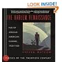 The Harlem Renaissance: Hub of African-American Culture, 1920-1930 (Circles of the Twentieth Century Series , No 1)