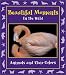 Beautiful Moments in the Wild: Animals and Their Colors (Moments in the Wild series)